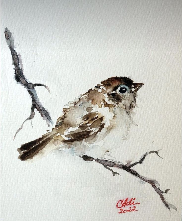 a watercolor painting of a bird sitting on a branch