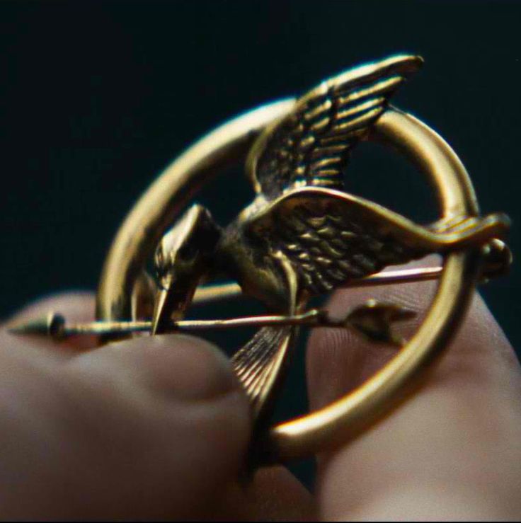 a person holding a gold ring with an arrow and bird on the middle of it