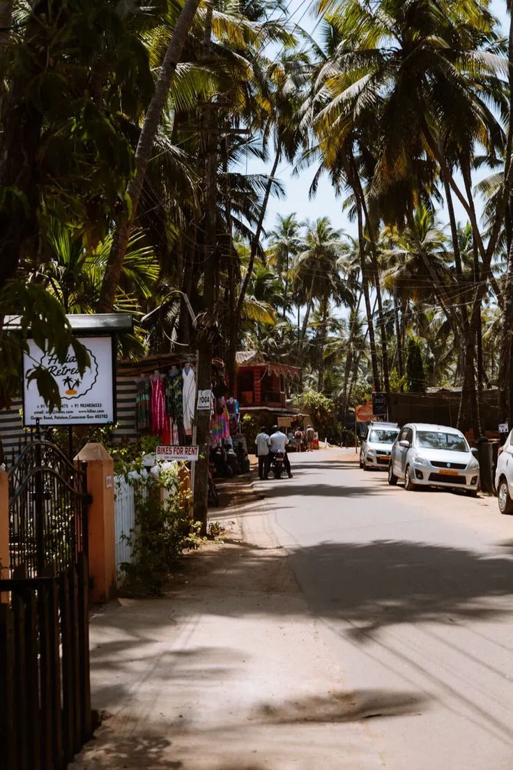 cars parked on the side of a road next to palm trees