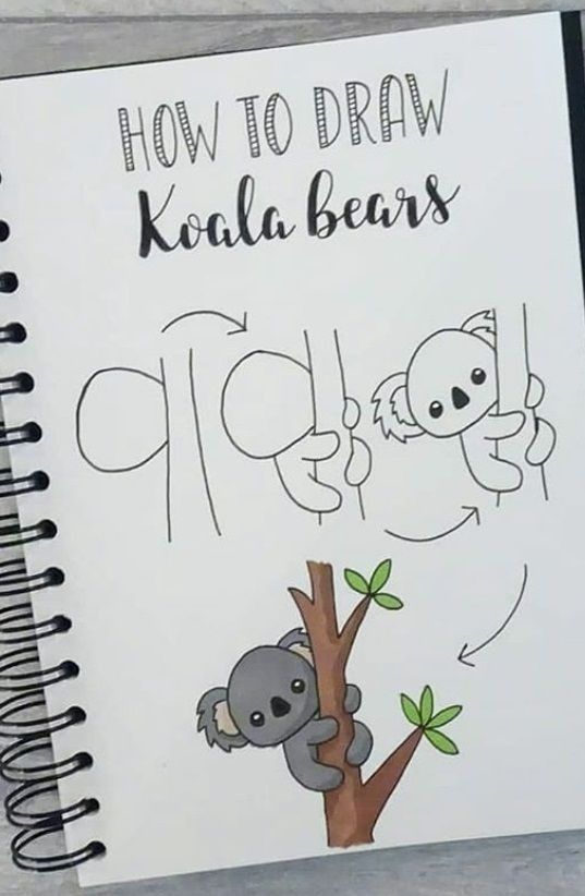 a notebook with an image of koala bears and the words how to draw on it