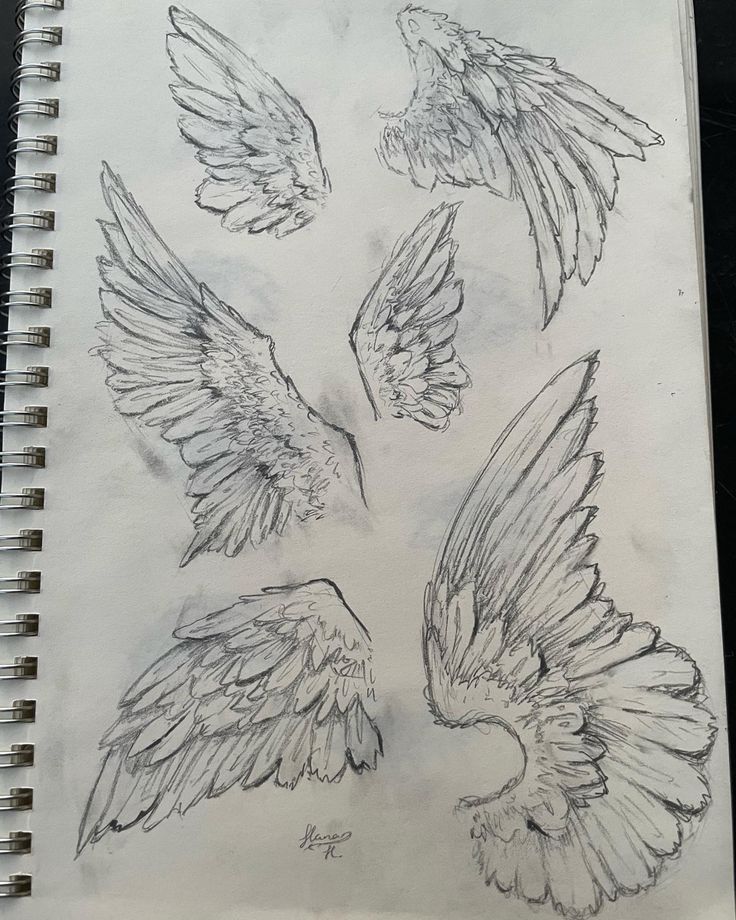 a drawing of four different wings on a piece of paper, with one being drawn in pencil