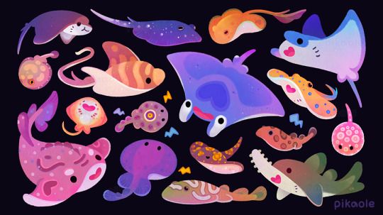 an assortment of sea animals on a black background