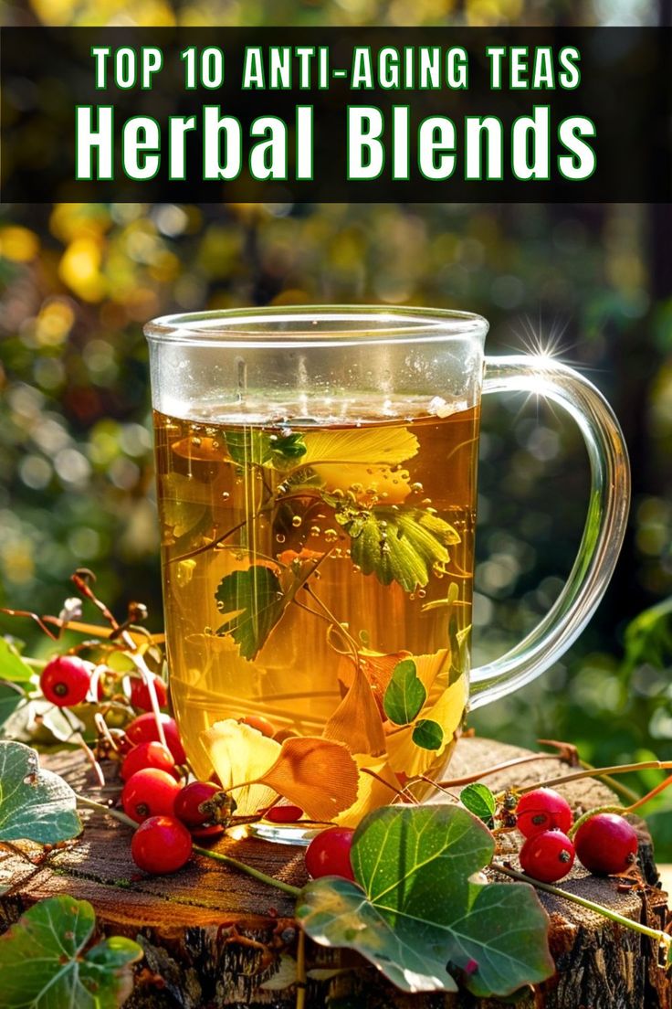 the top 10 anti - aging teas for herbs