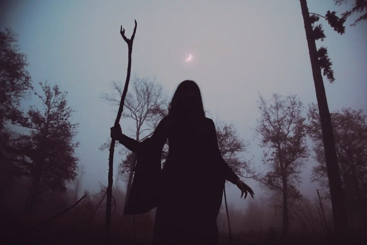 a person standing in the woods holding a stick and looking up at the sun behind them