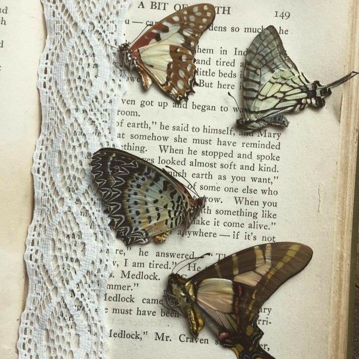 three butterflies sitting on top of an open book with lace around it's edges