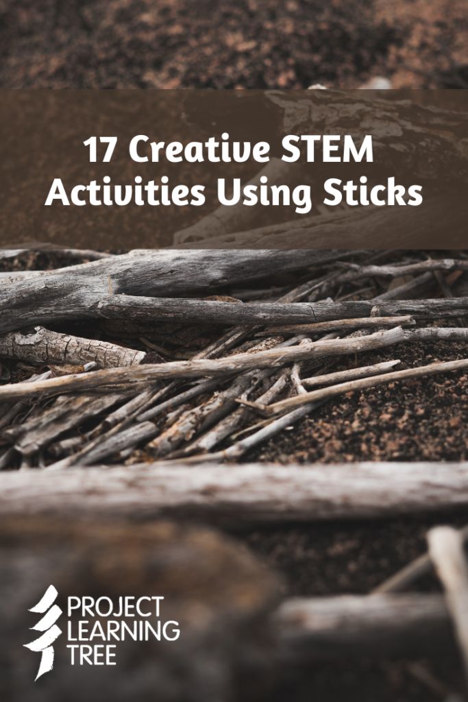 17 Creative STEM Activities Using Sticks for the Classroom  - Project Learning Tree Nature Stem Activities Preschool, Not A Stick Activities, Outdoor Stem Activities For Kids, Indoor Recess Activities, Nature Preschool, Nature Lessons, Stem Activities Preschool, Stem Projects For Kids, Forest School Activities