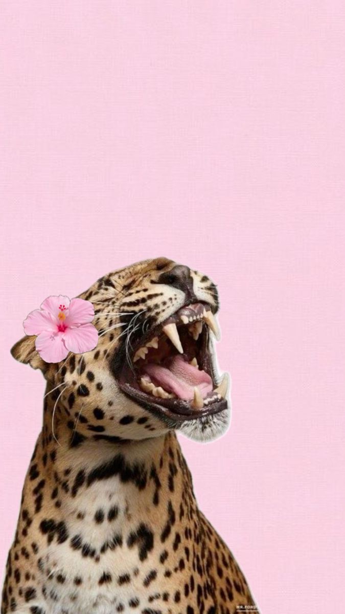 a leopard with its mouth open and a pink flower in it's hair is shown