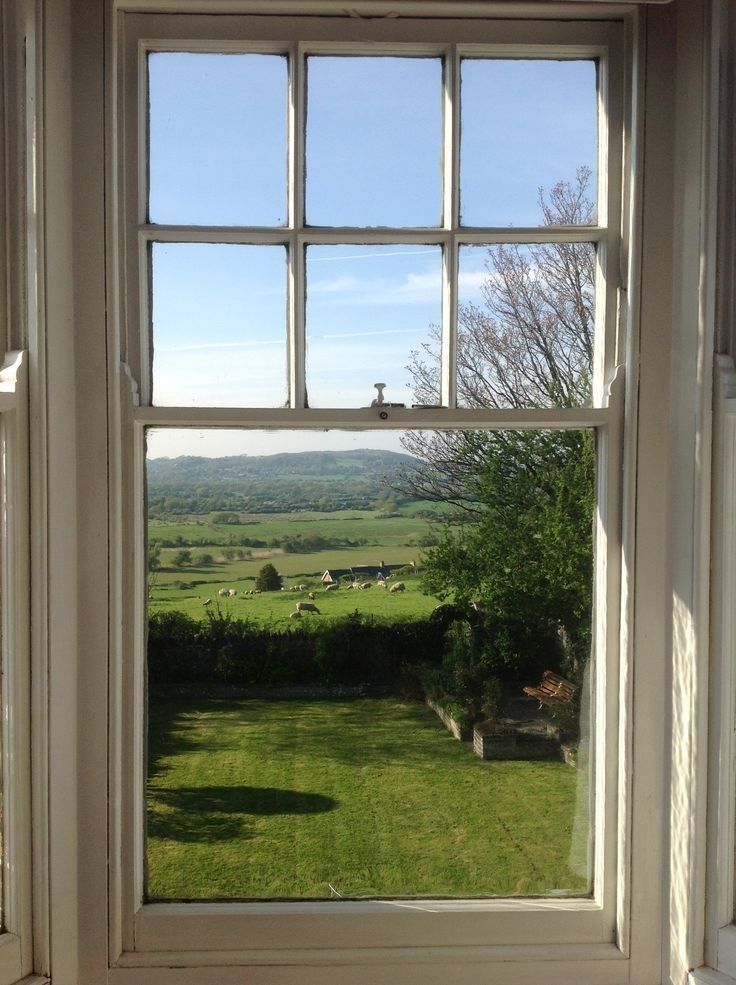 an open window looking out onto a green field