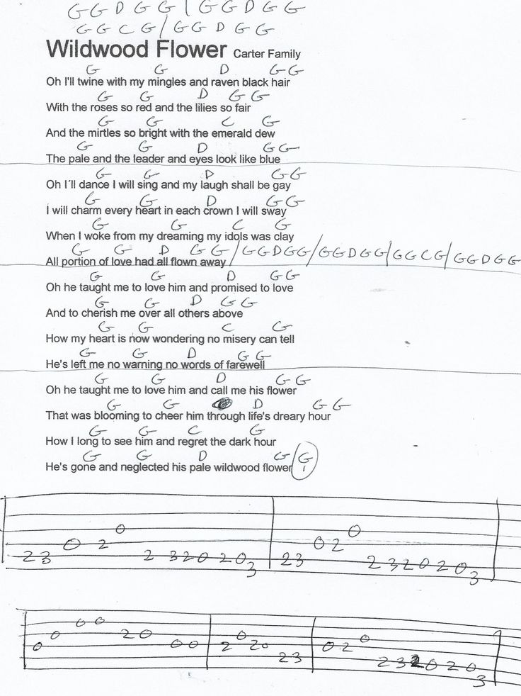 a handwritten song with the words wildwood flower on it