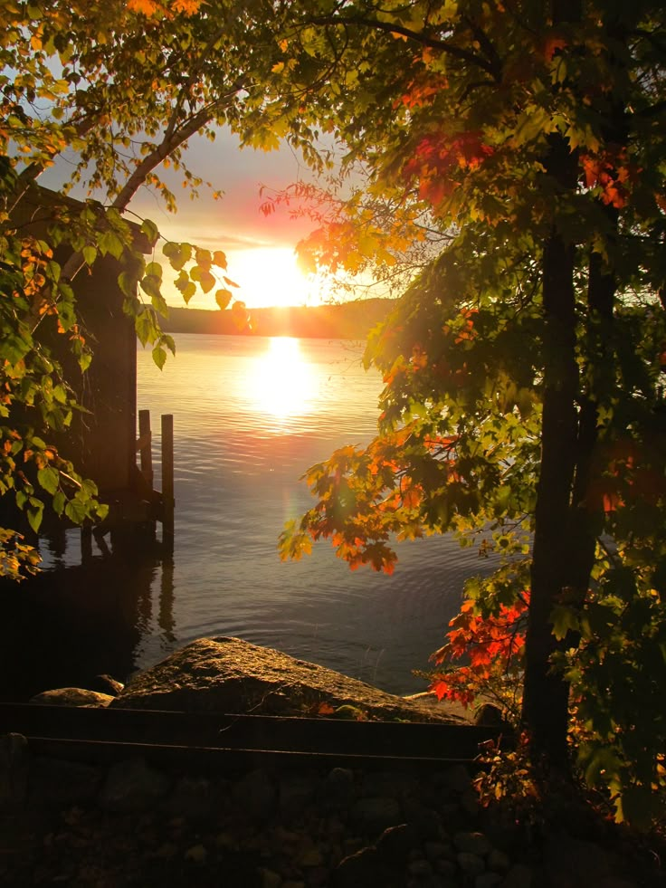 the sun is setting over the water and some trees are in front of it with their leaves on them