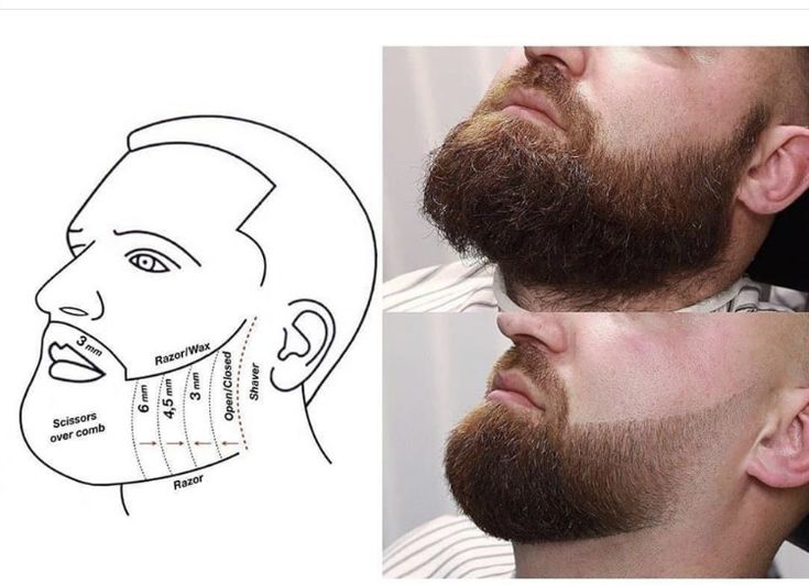 Trimmed Beard Styles, Beard Cut Style, Beard Trimming Styles, Faded Haircut, Faded Beard Styles, Haircut Guide, Beard Line, Short Hair With Beard, Beard And Mustache Styles