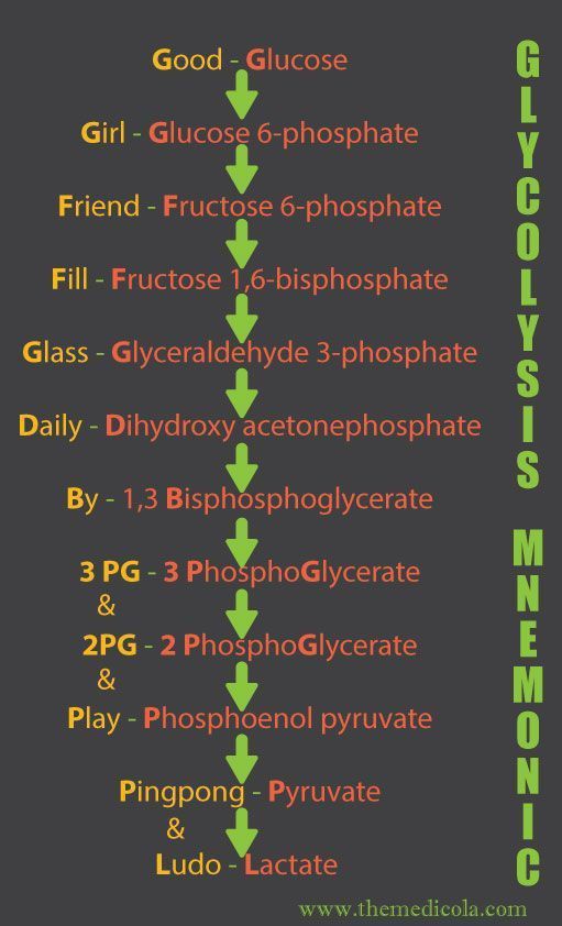 a poster with words describing the different types of phosphants and how to use them