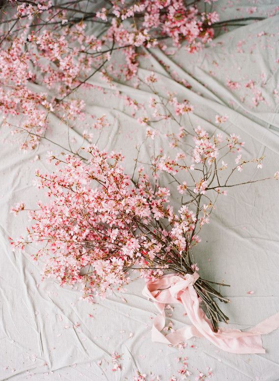 some pink flowers are laying on a white sheet