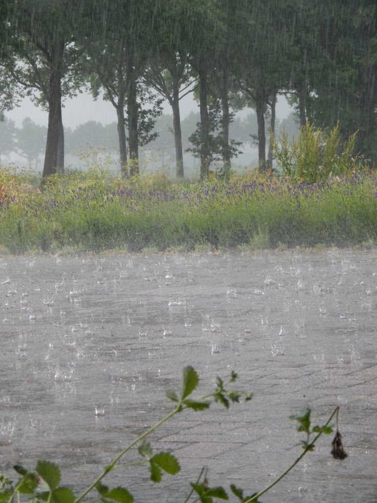 a person walking in the rain with an umbrella over their head while it is raining