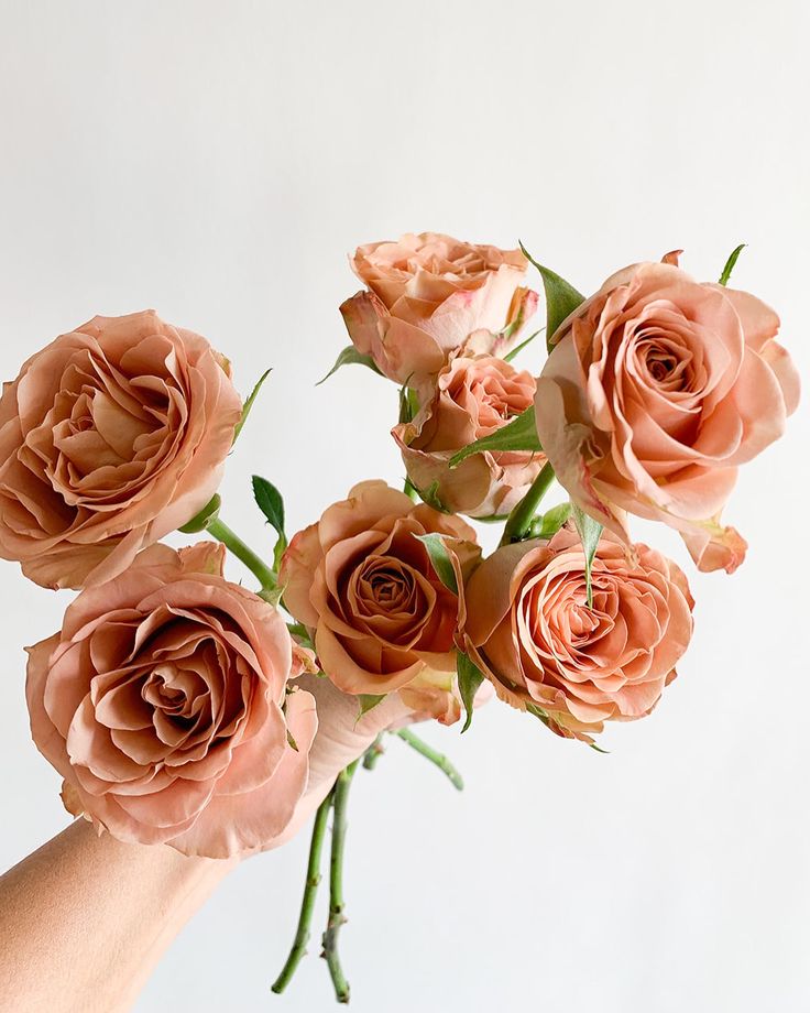 a hand holding a bouquet of pink roses