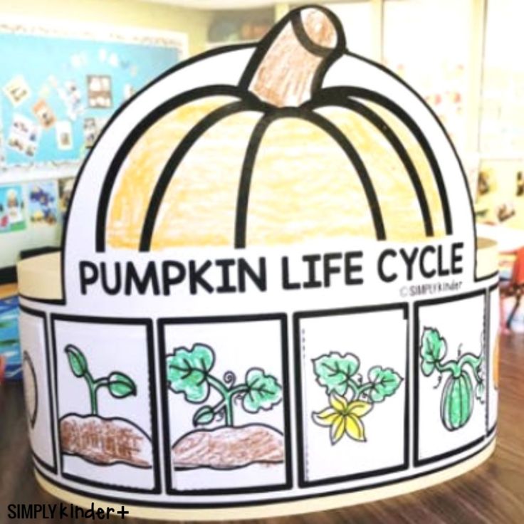 a paper pumpkin life cycle is shown in this classroom setting with the words pumpkin life cycle written on it