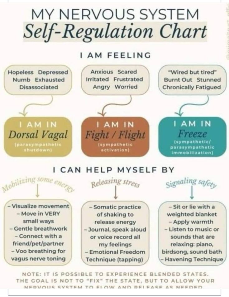 Nervus Vagus, Healing Journaling, Mental Health Therapy, Autonomic Nervous System, Vie Motivation, Counseling Resources, Emotional Awareness, The Nervous System, Therapy Worksheets