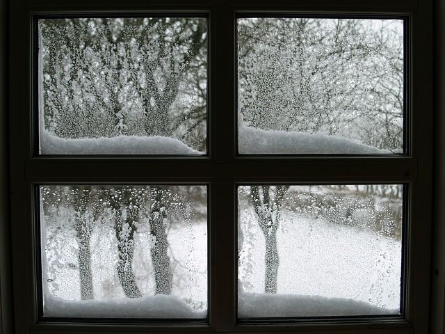 the window is covered in snow and trees outside