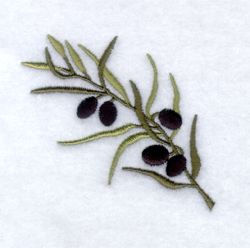 an olive branch is shown on the snow covered ground, with green leaves and dark brown berries