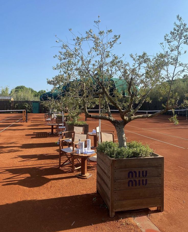 several tables and chairs are lined up on the tennis court with an olive tree in the middle