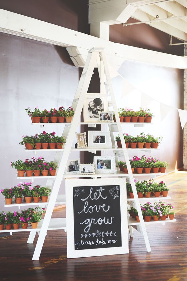 a white ladder with potted plants on it and a chalkboard sign that says, let love grow here