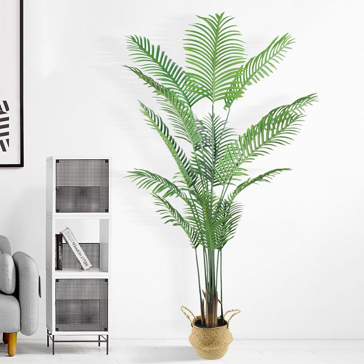 a living room with a couch, chair and potted plant