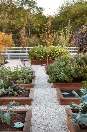 a garden filled with lots of different types of plants