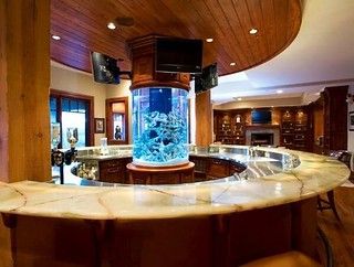 a fish tank in the middle of a kitchen counter