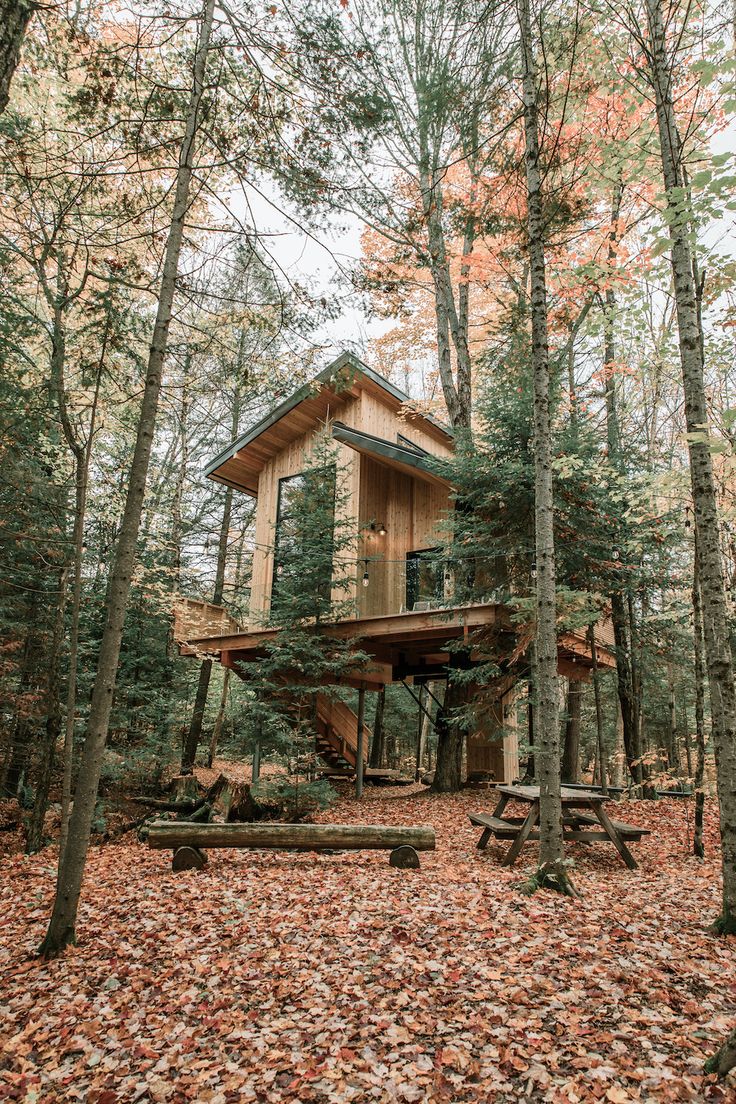 a cabin in the woods surrounded by trees and fallen leaves on the ground with picnic tables