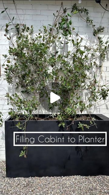 a black planter with plants growing out of it and the words filing cabinet to planter