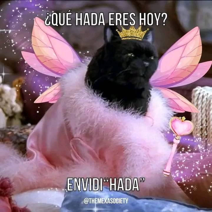 a black cat wearing a pink fairy costume