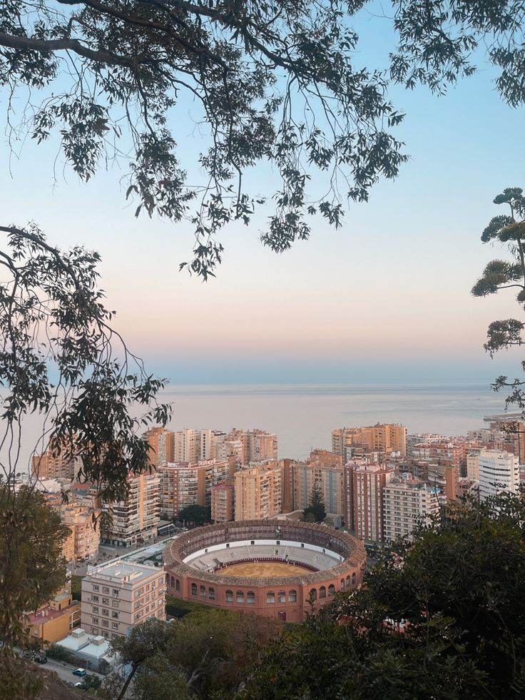 a view of the city from atop a hill with trees and buildings in the foreground