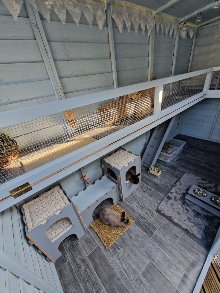 an aerial view of a cat house with cats in it's cages and on the floor