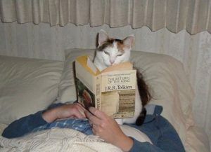 a cat sitting on top of a person reading a book