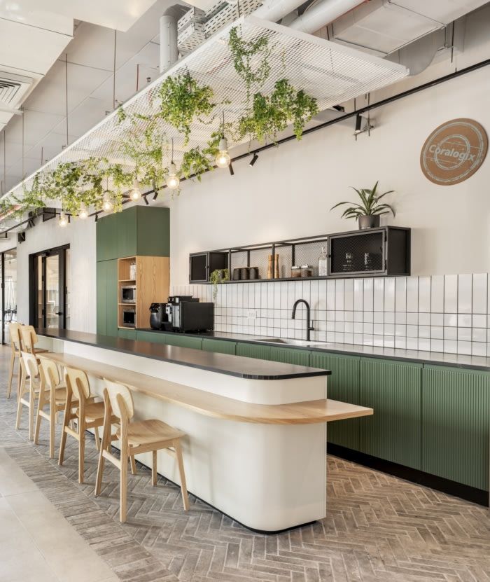 a kitchen with an island and lots of plants hanging from the ceiling, along with bar stools