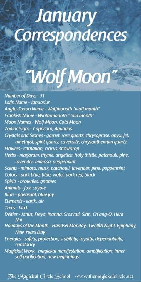 an advertisement for the wolf moon event in january, with snow falling from the sky