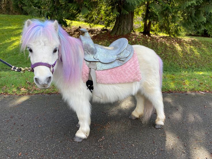 a white pony with purple hair and a saddle on it's back standing in the street