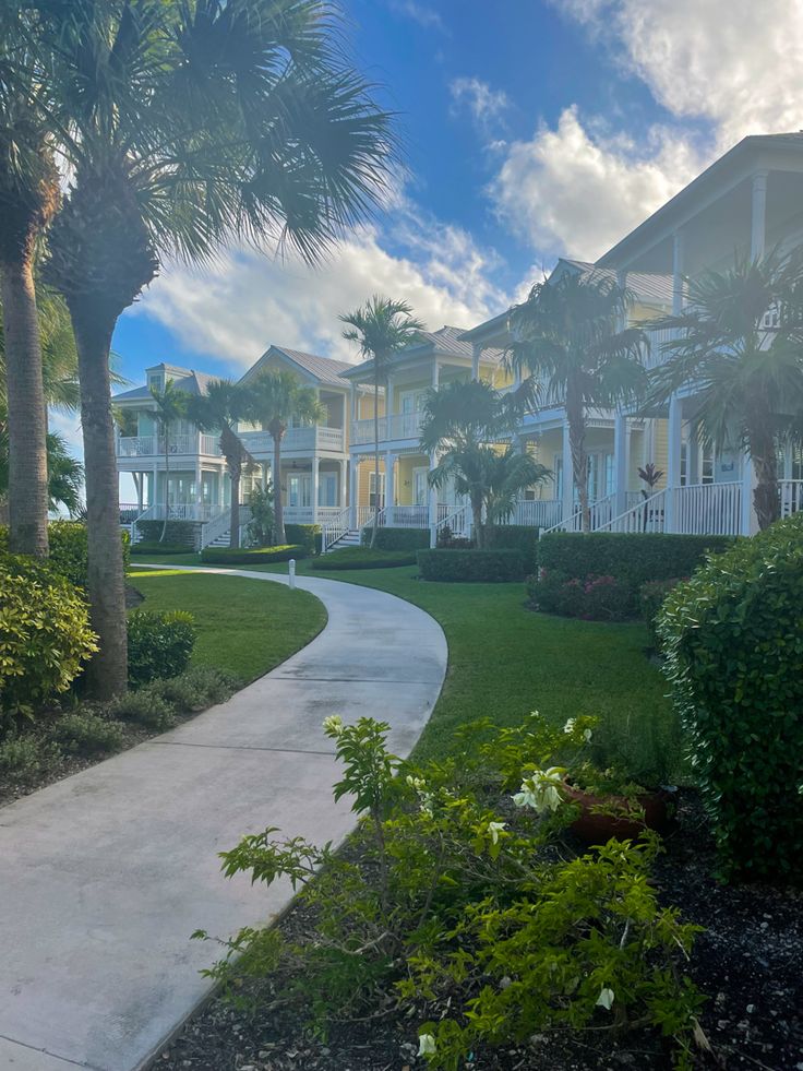 the walkway is lined with palm trees and bushes in front of several large white houses