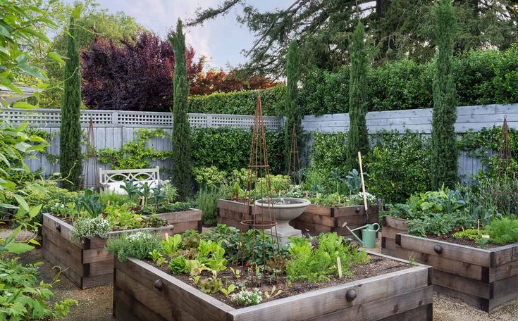 a garden filled with lots of different types of vegetables and plants in wooden boxes next to a fence