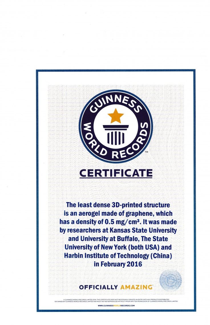 the guinness world records certificate is displayed in front of a white background with blue trim