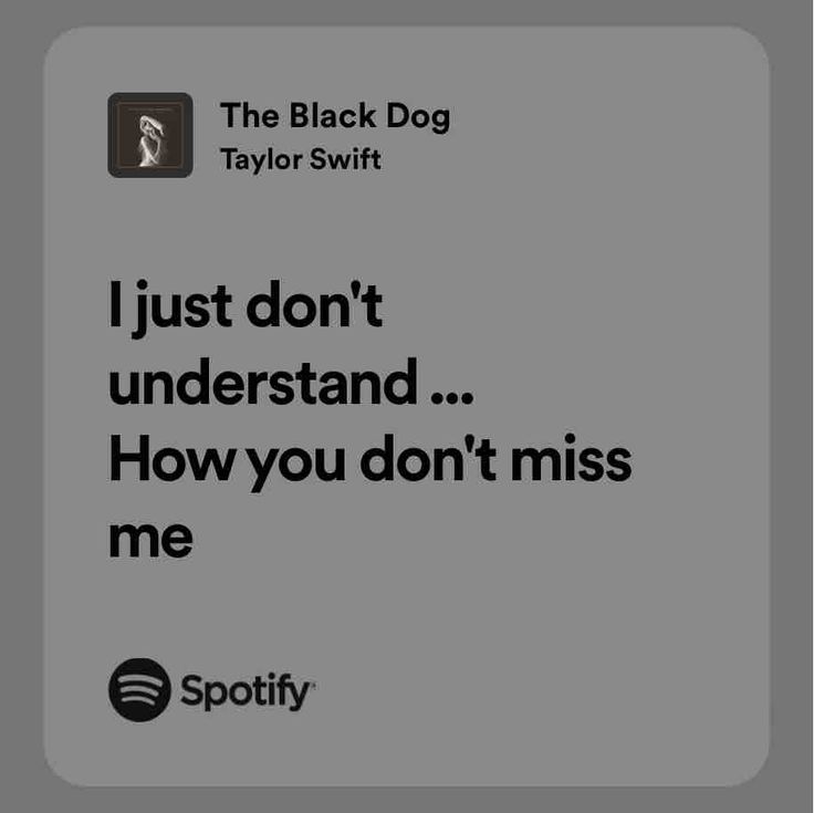 the black dog taylor swift quote on grey background with spotify logo and spotify icon