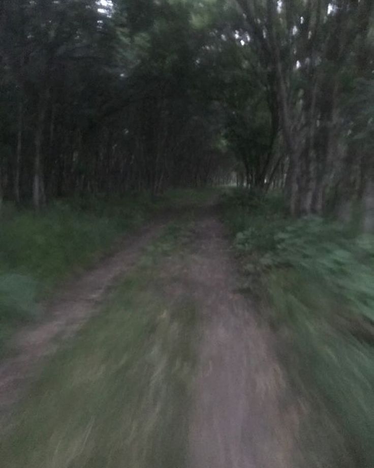 a blurry photo of a dirt road in the woods