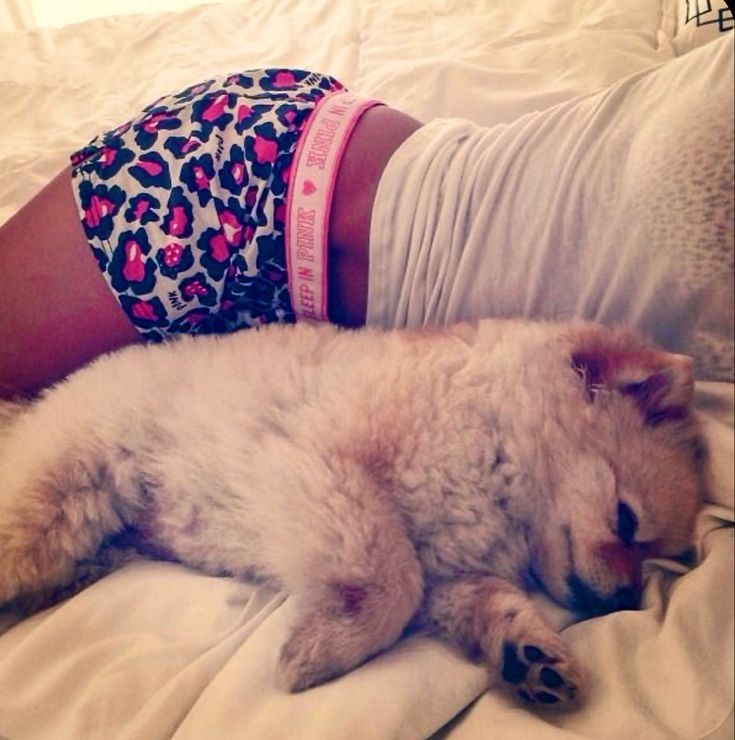 a woman laying on top of a bed next to a dog