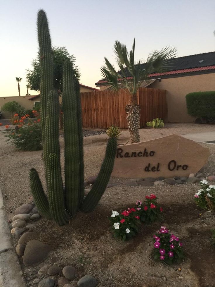 a large cactus sitting in the middle of a yard next to a sign that says rancho del oro