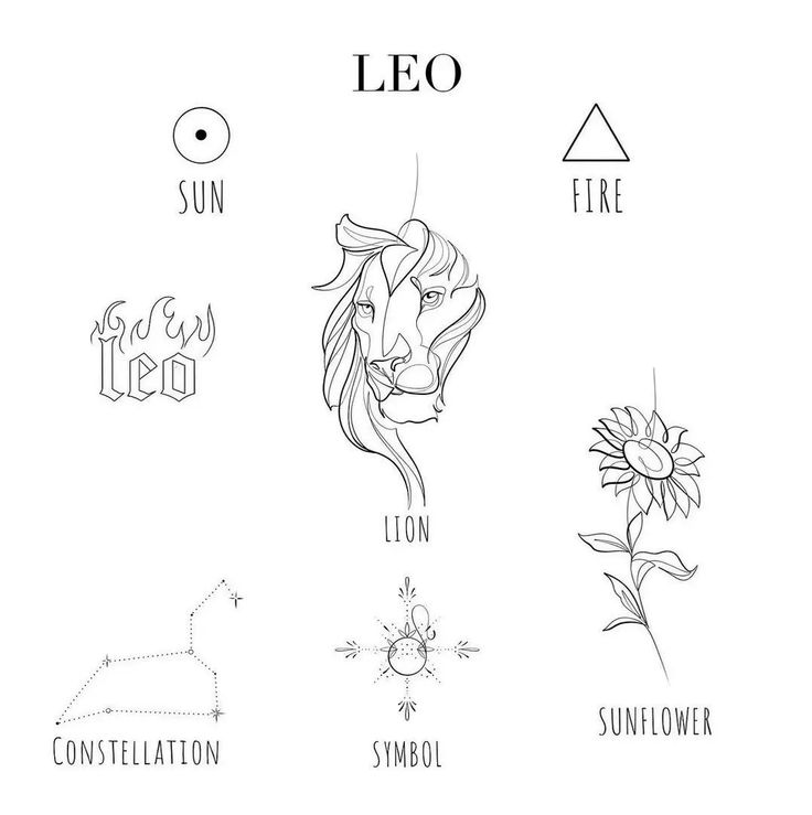 leo zodiac signs and their symbols are drawn in black ink on a white paper background