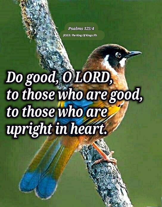 a bird sitting on top of a tree branch with the words do god, lord, to those who are good, to those who are upright in heart