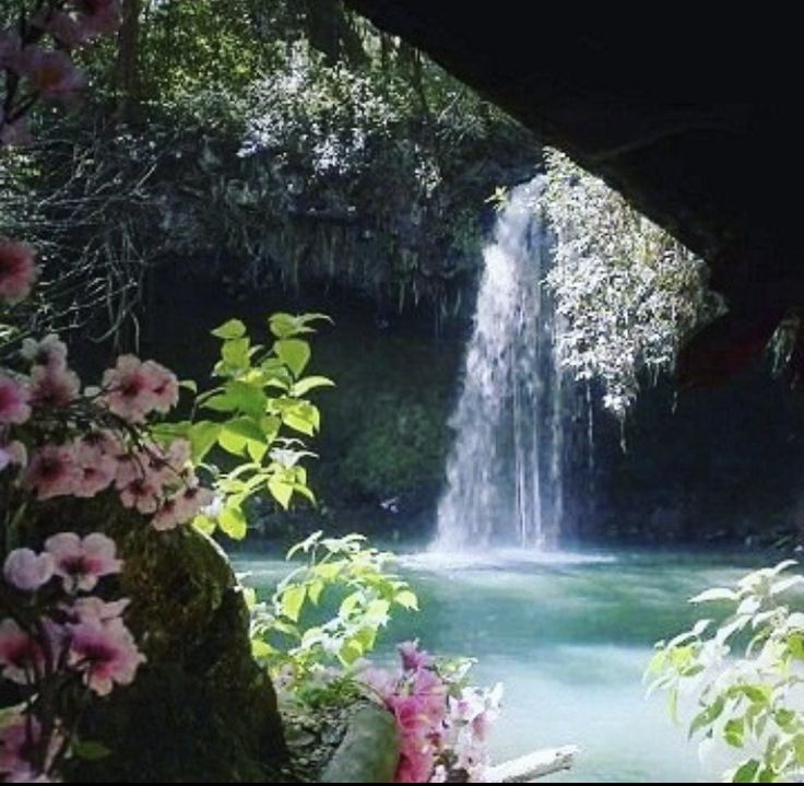 there is a waterfall in the middle of some trees and flowers on the side of the river