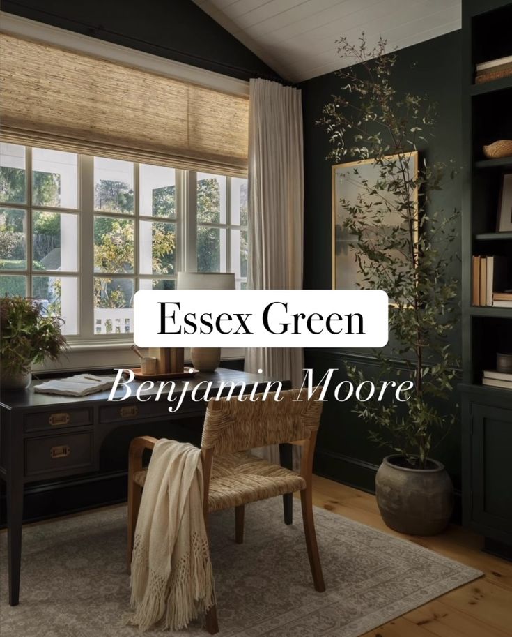 an office with green walls and furniture in the corner, along with a large window that reads essex green