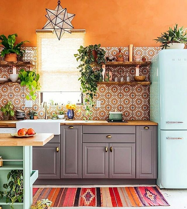 a kitchen with an orange wall and lots of potted plants