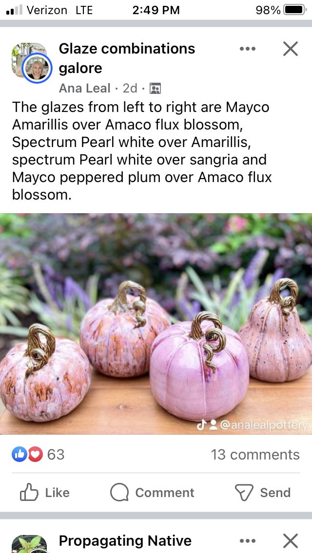 three pink pumpkins sitting next to each other on top of a wooden table in front of plants